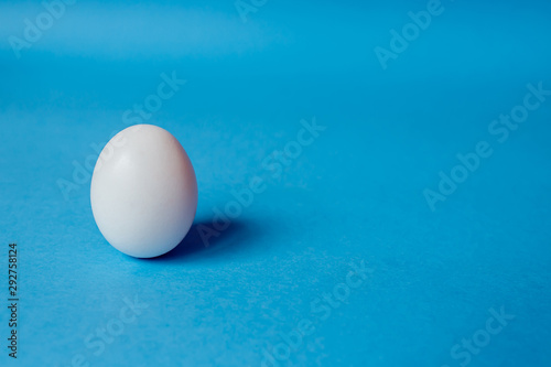 natural chicken Egg on a blue background