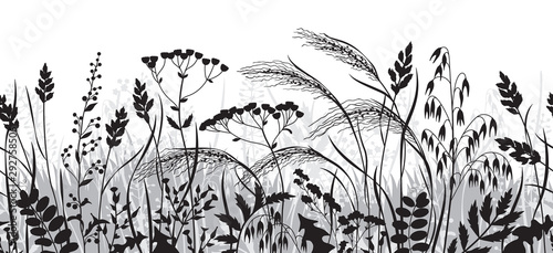 Seamless Border  with Wild Plants  Silhouette