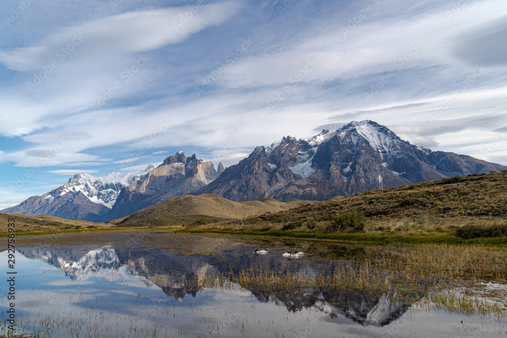 swans in a reflecting pool in Torres del Paine National Park, Chile, Patagonia