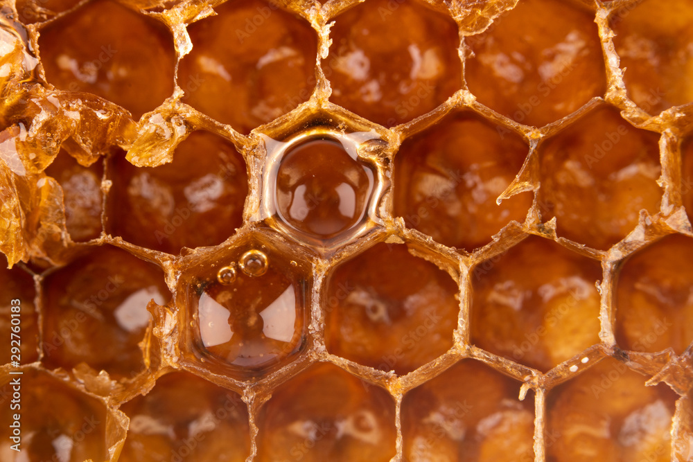 Close-up sweet yellow organic honeycomb Close-up sweet yellow organic honeycomb
