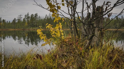 Serene lake timelapse in the fall. Autumn