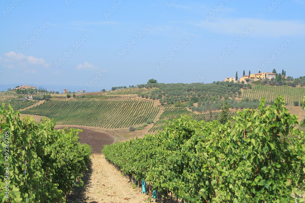 The Chianti, a rural region of Tuscany in the provinces of Florence and Siena, Tuscany, Italy