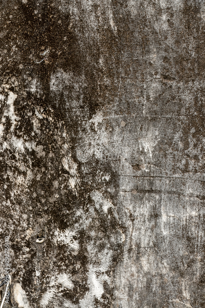 Obraz premium texture of old wall