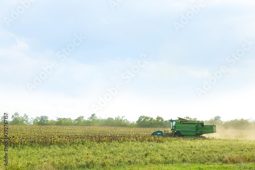 Combine harvester in sunflower field