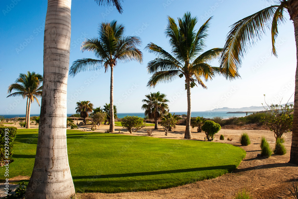 Golf court surrounded by palm trees on the coast in Mexico