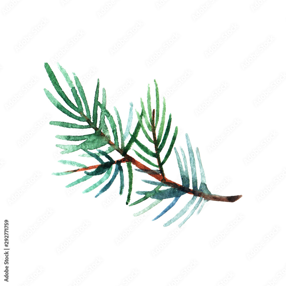 Hand drawn  watercolor illustration of pine branch isolated on white background. Holiday design for greeting cards, calendars, posters, prints, invitations.
