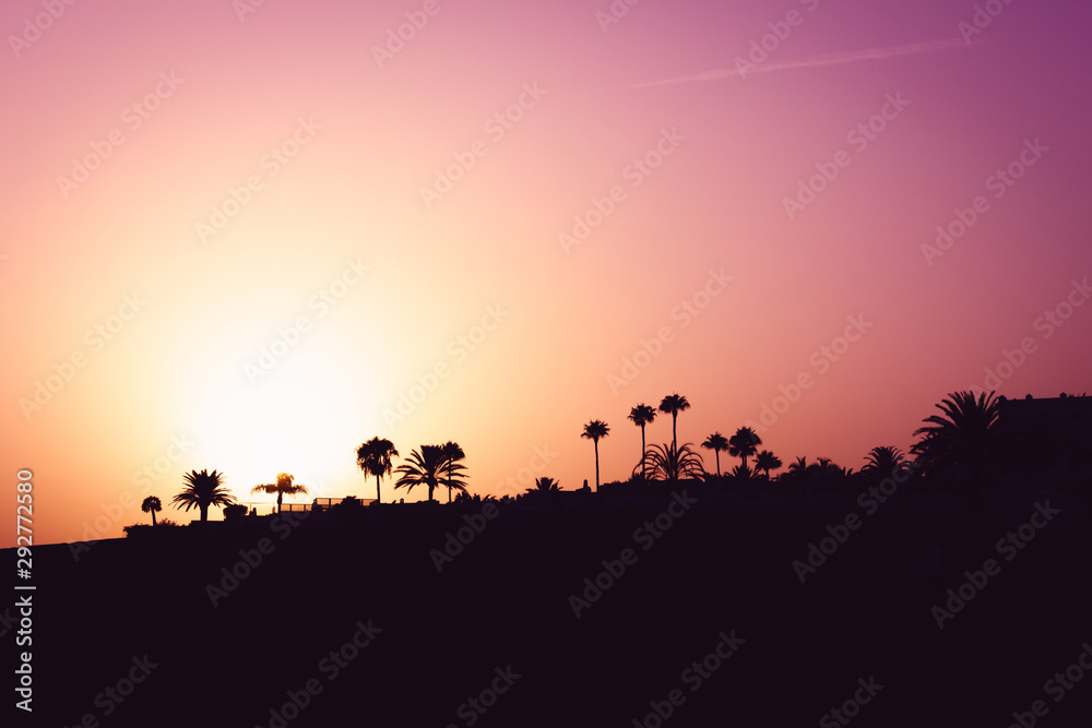Multicolor sunset with palm tree silhouettes in Maspalomas nature reserve. Splendid twilight at sand dunes tourist attraction in Gran Canaria island, Spain. Natural background concept