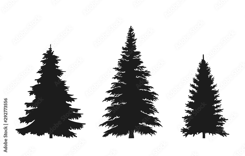 set of fir tree silhouette. Christmas and New Year design elements. Christmas trees