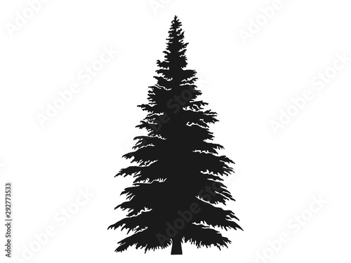 fir tree silhouette. Christmas and New Year design element
