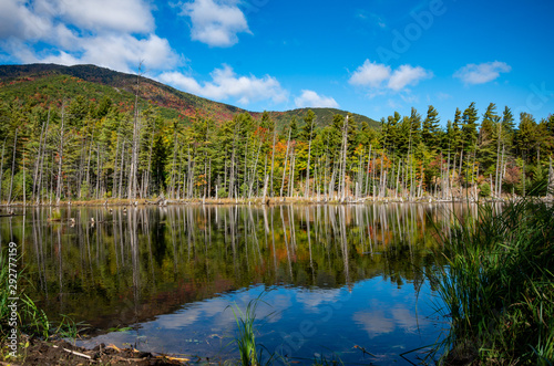 Fototapeta Naklejka Na Ścianę i Meble -  Fall foliage in the Adirondack Mountains