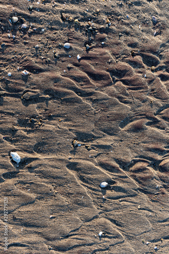 Background of sand  rocks  shells and texture