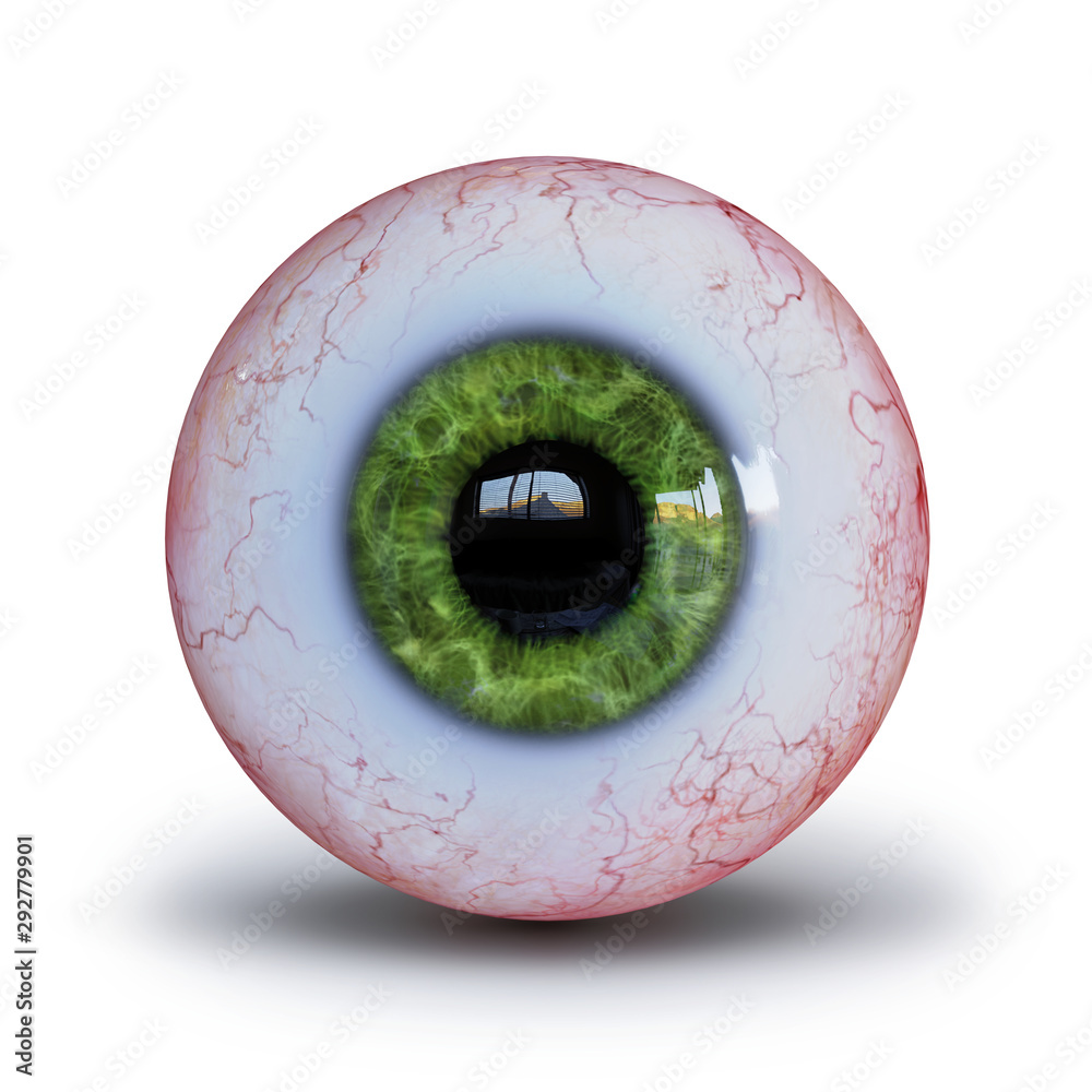 realistic human eyeball with green iris isolated whit shadow on white