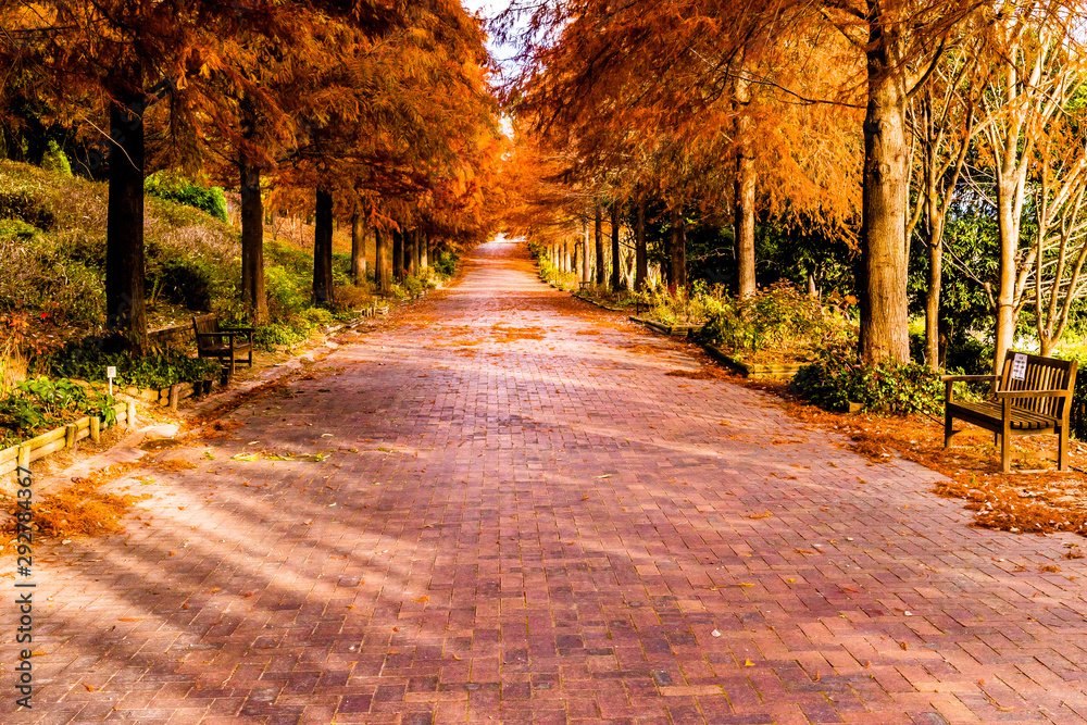 Naklejka premium ドラマに出てきそうなシチュエーションを見に行こう！