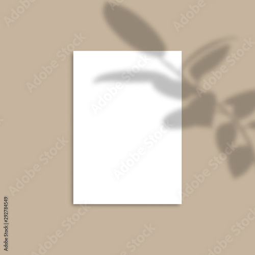 Shadow Overlay Plant Vector Mockup A4 Paper sheets. Shadows overlay effects Of A leaf