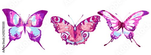 butterfly322