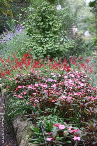 flowers in the garden green red pink