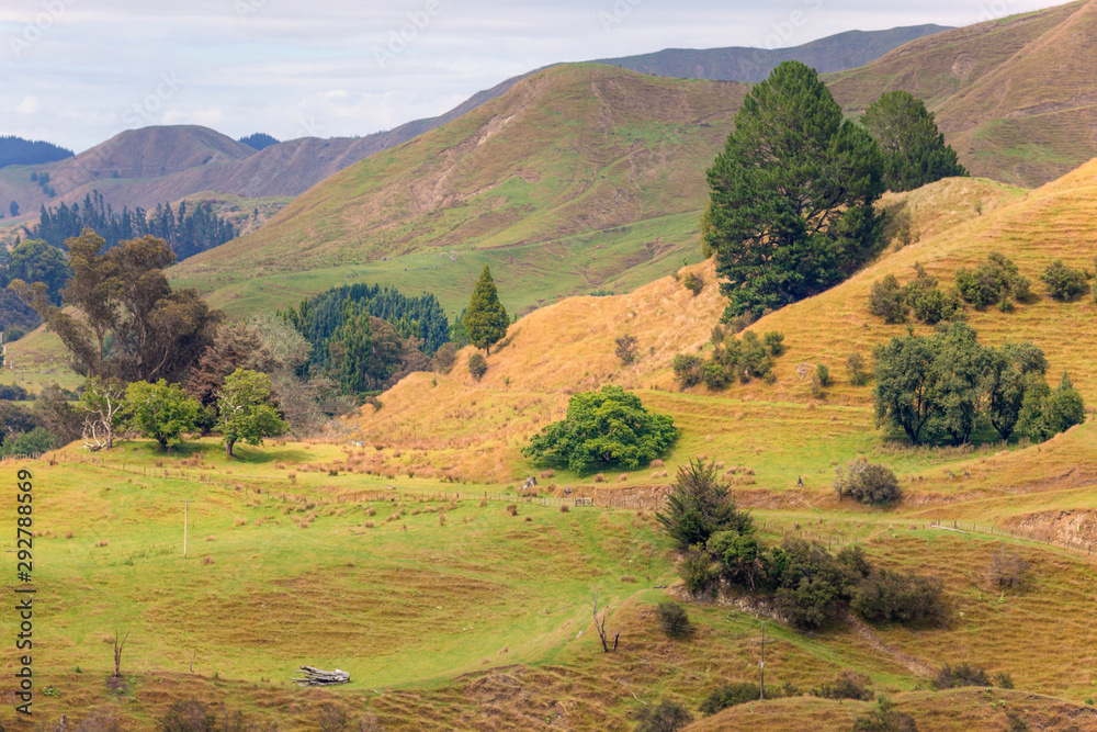 Rural panorama of New Zealand