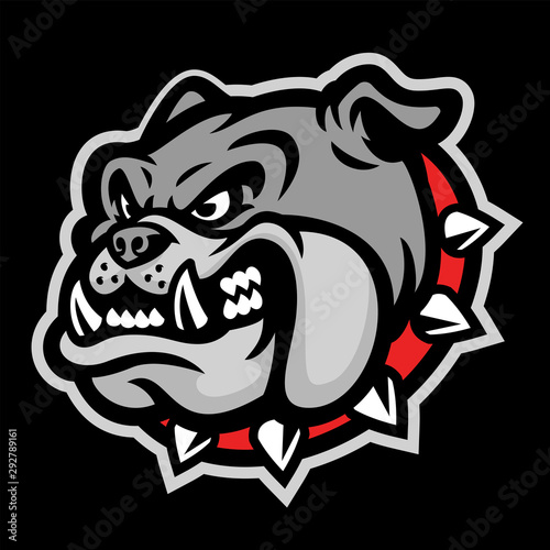 angry head mascot of bulldog