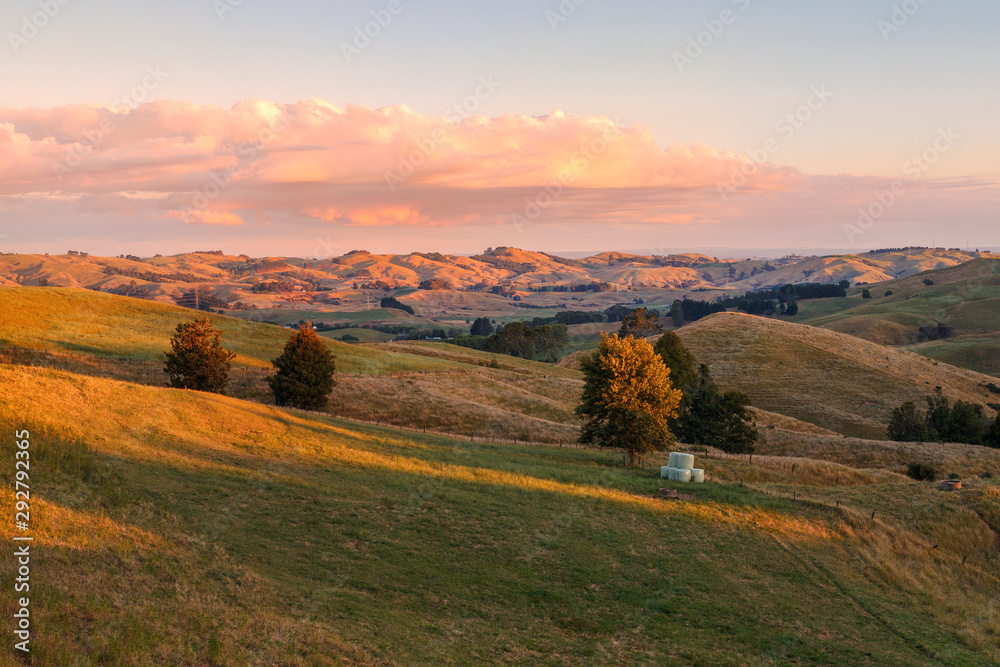 Landscaping view of Te Miro area, New Zealand
