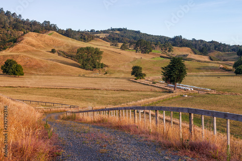 Cambridge countryside, New Zealand