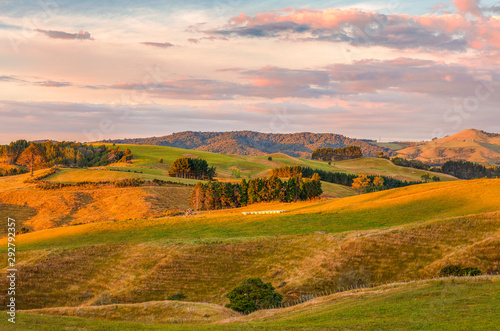 Panoramic views of Te Miro area, New Zealand