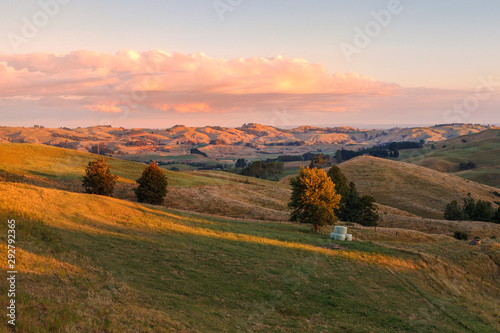 Landscaping view of Te Miro area, New Zealand