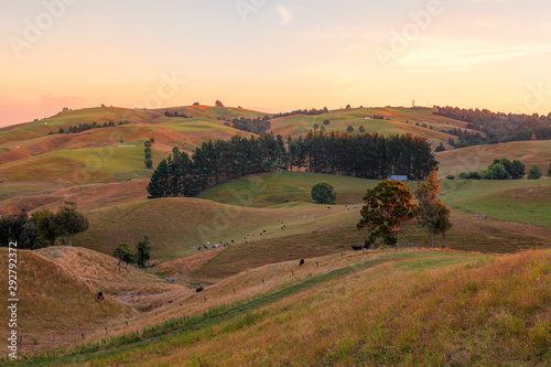 Te Miro area at sunset, New Zealand