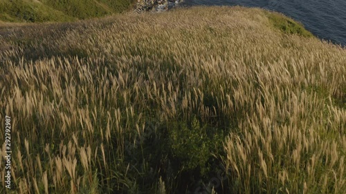 Seaside coast line with big, steep cliffs, and beautiful  inclined fields with high grass, on the sunset. Russia, Far East. photo