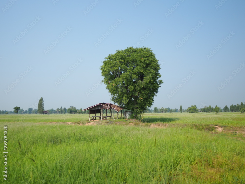 Obraz premium OLYMPUS DIGITAL CAMERA