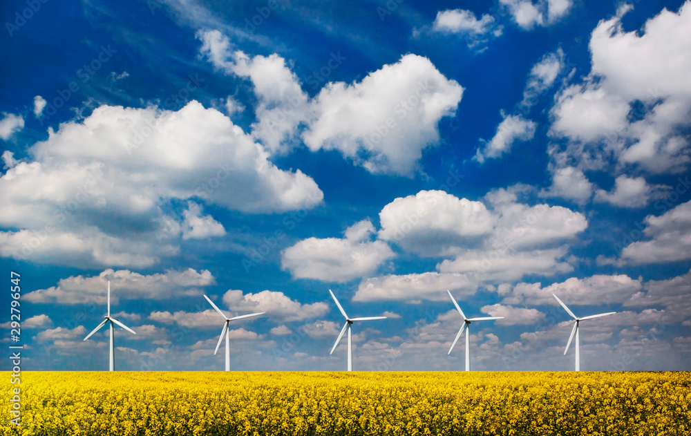 Wind turbines in a field under blue skies - obrazy, fototapety, plakaty 