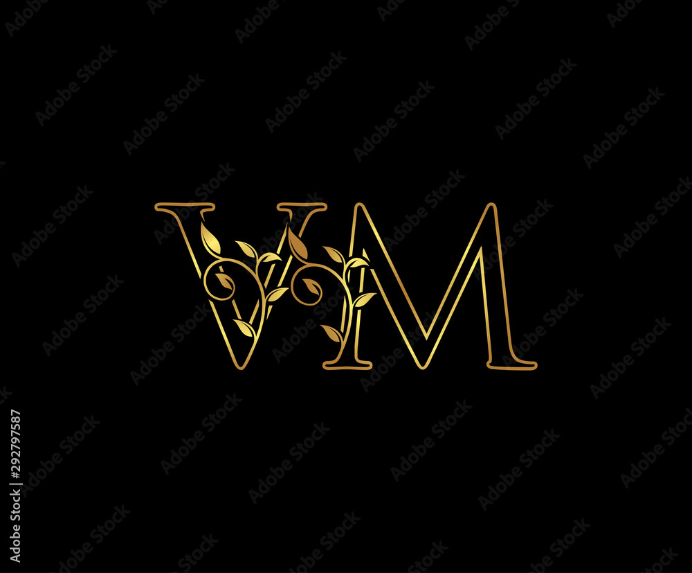 Classy Gold letter V and M, VM, elegant decorative ornament emblem badge, wedding logo, classy letter logo icon.