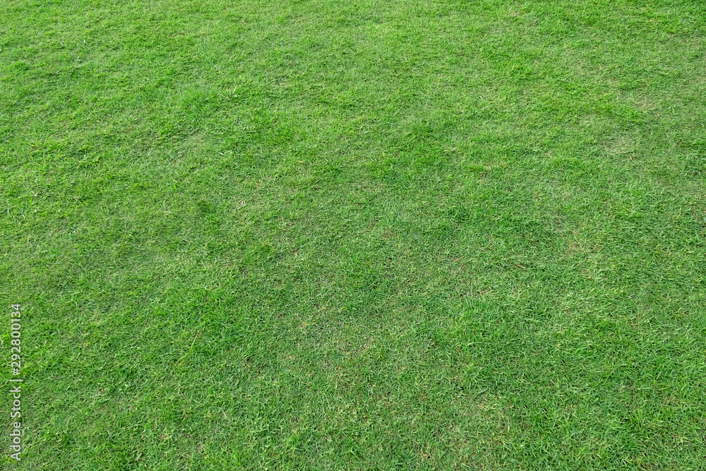 Green grass texture for background. Green lawn pattern and texture background. Green grass texture for background. Green lawn pattern and texture background.