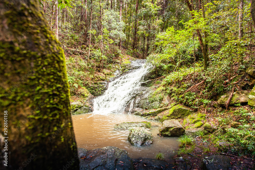 waterfall in forest