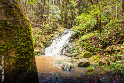 waterfall in forest