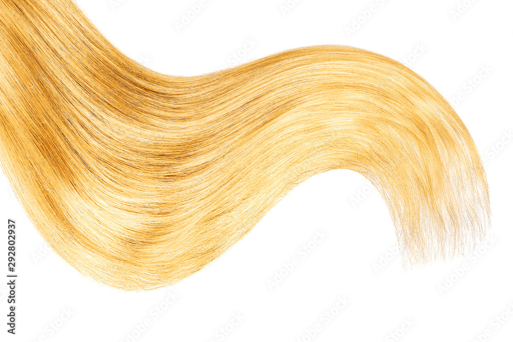 Natural blond hair isolated on white Natural blond hair isolated on white
