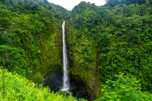 Akaka Falls photo