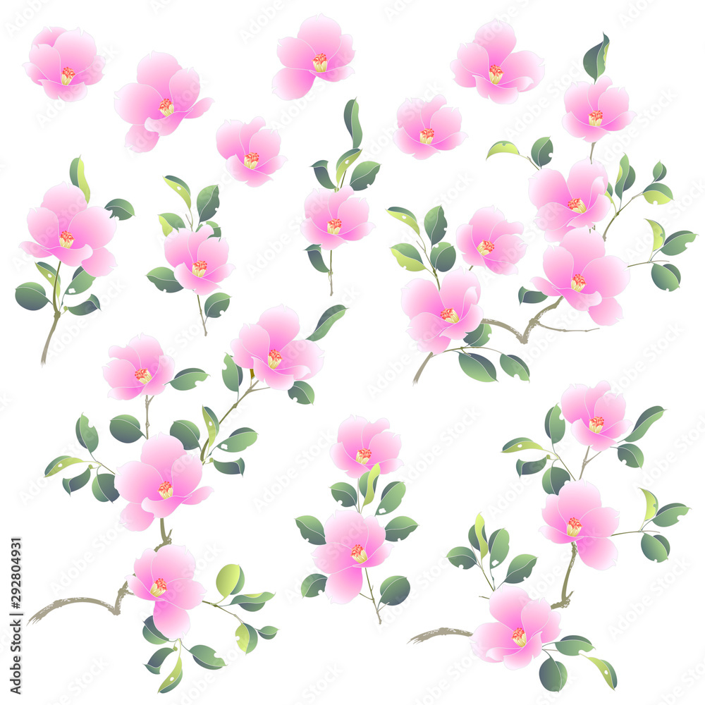 Illustration of the camellia which is beautiful with Japanese style, Illustration of the camellia which is beautiful with Japanese style,