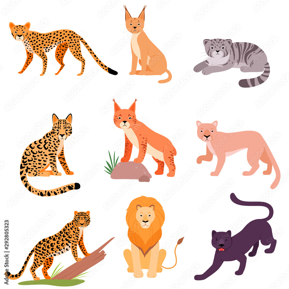 Set of different wild cats. Vector illustration on a white background.