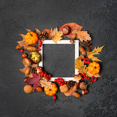 Autumn composition with white frame and autumnal leaves, pumpkins, acorns, cones, berries on black background. fall season, thanksgiving day concept. Flat lay, top view, mock up, copy space.