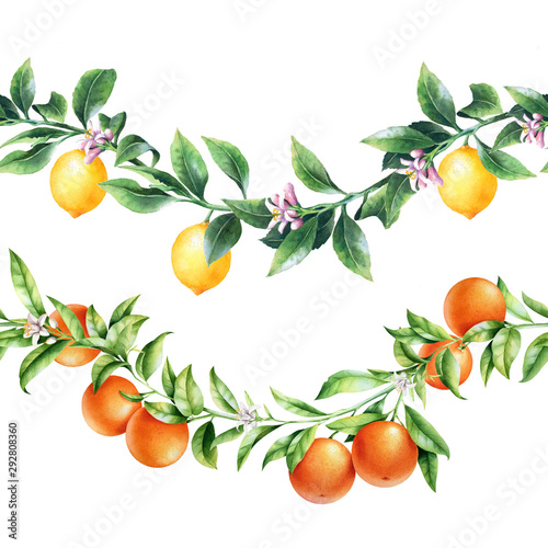 Orange and lemon tree branches borders. Isolated garland with citrus fruit. Package design.