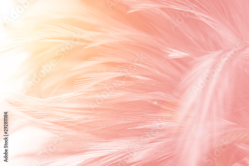 Fototapeta flamingo ptak wzór koral