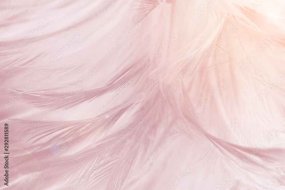 Beautiful violet - mauve mist colors tone feather texture background, trends color with Orange light flare Beautiful violet - mauve mist colors tone feather texture background, trends color with Orange light flare