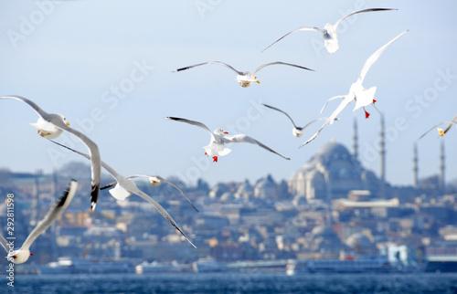 Istanbul skyline and flying seagulls