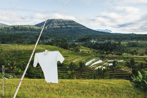White scarecrow on Jatiluwih rice terraces in Bali. Scenic mountain view in morning. photo
