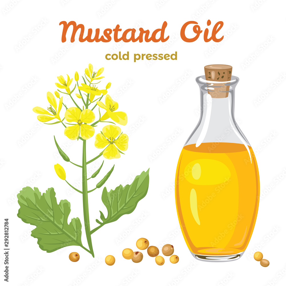 Mustard oil in a glass bottle isolated on white background. Branch with  flowers and leaves, mustard seeds. Vector illustration in a flat style.  Stock Vector | Adobe Stock