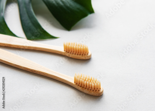 Natural bamboo toothbrushes