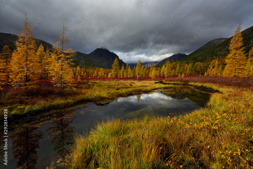Golden autumn in the forest tundra of Kolyma,Magadan oblast, Russia