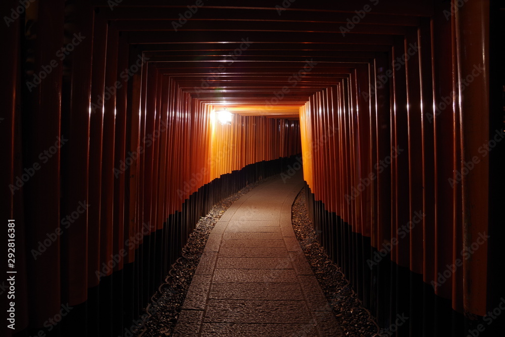Fototapeta premium 異世界 伏見稲荷大社 夜 ミステリアスナイト Another World Fushimi Inari Taisha Night Mysterious Night