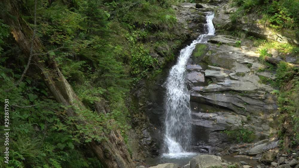 mountain stream cascade runs between rocks among deep forest mountain stream cascade runs between rocks among deep forest