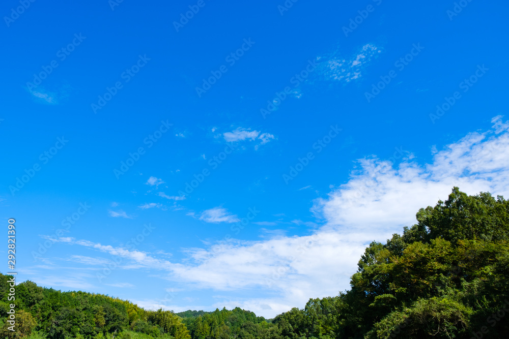 Fototapeta premium 【写真素材】 青空 空 雲 秋の空 背景 背景素材 9月 コピースペース 